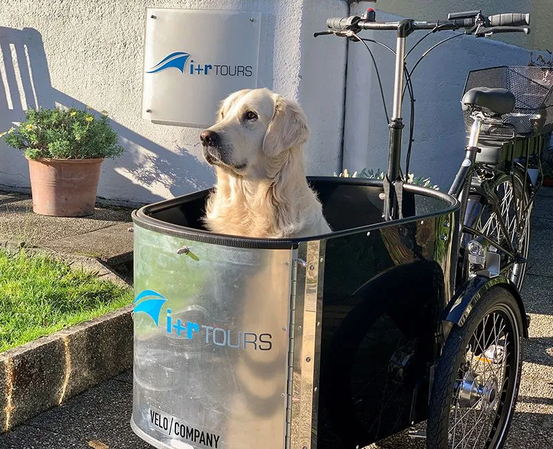 Leo unser CDO - Chief Dog Officer